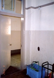 IMG_2077.jpeg